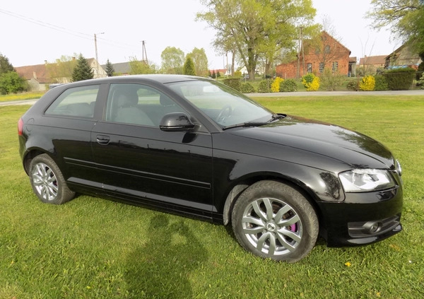 Audi A3 cena 20900 przebieg: 154000, rok produkcji 2009 z Szprotawa małe 497